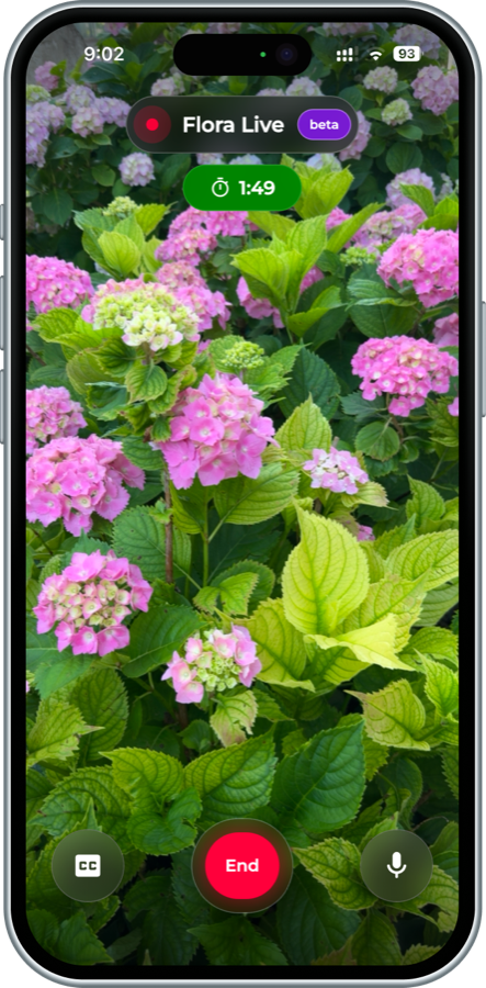 Flora Live session identifying a plant