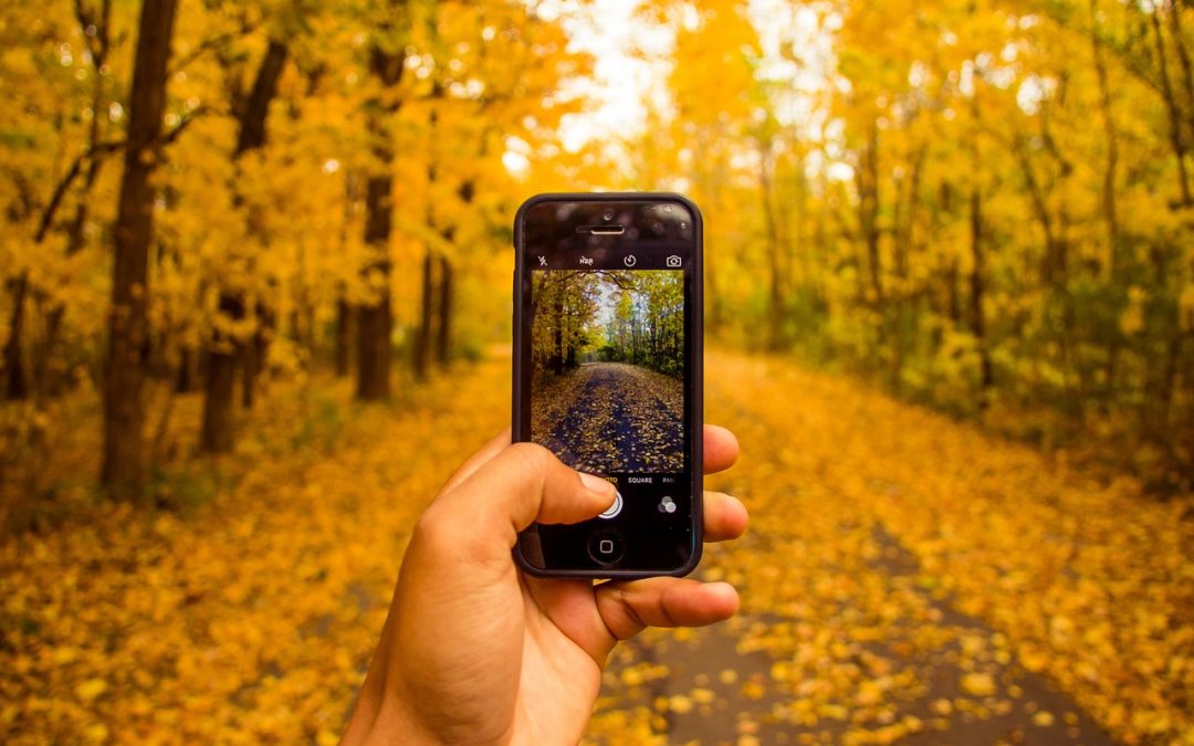 The 3 Best Hiking Apps