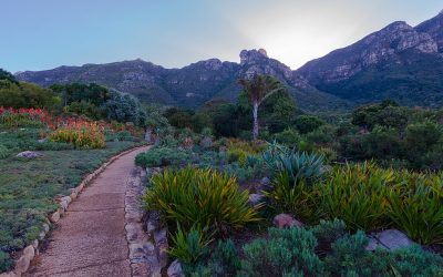 The Best Botanical Gardens in Africa and the Middle East: Jewels in the Desert