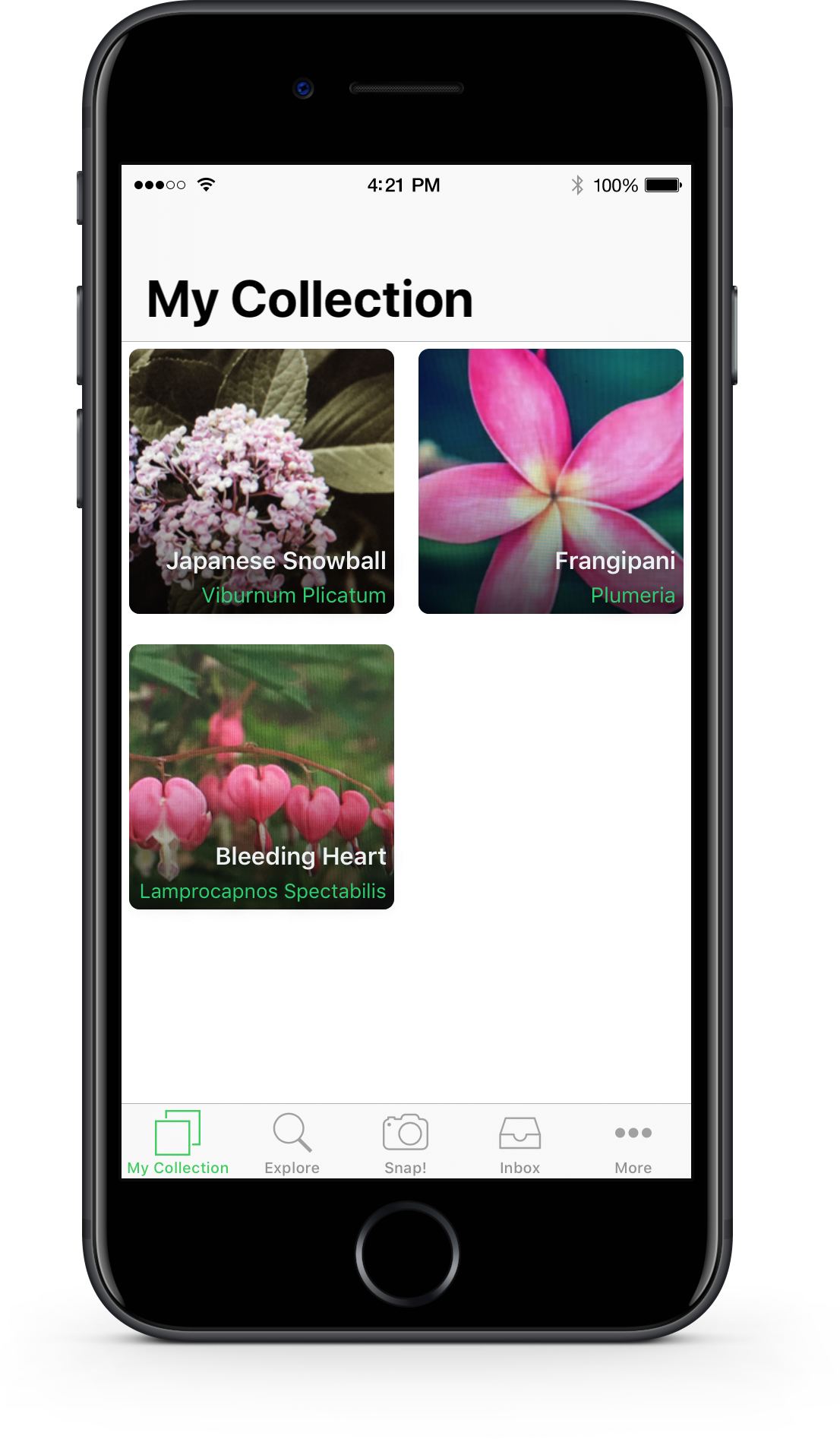 plantsnap - plant identifier app, #1 mobile app for plant