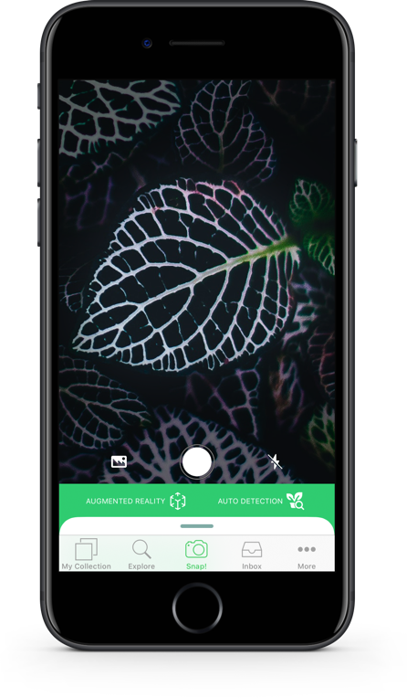 PlantSnap - Plant Identifier #1 Mobile App for Plant Identification