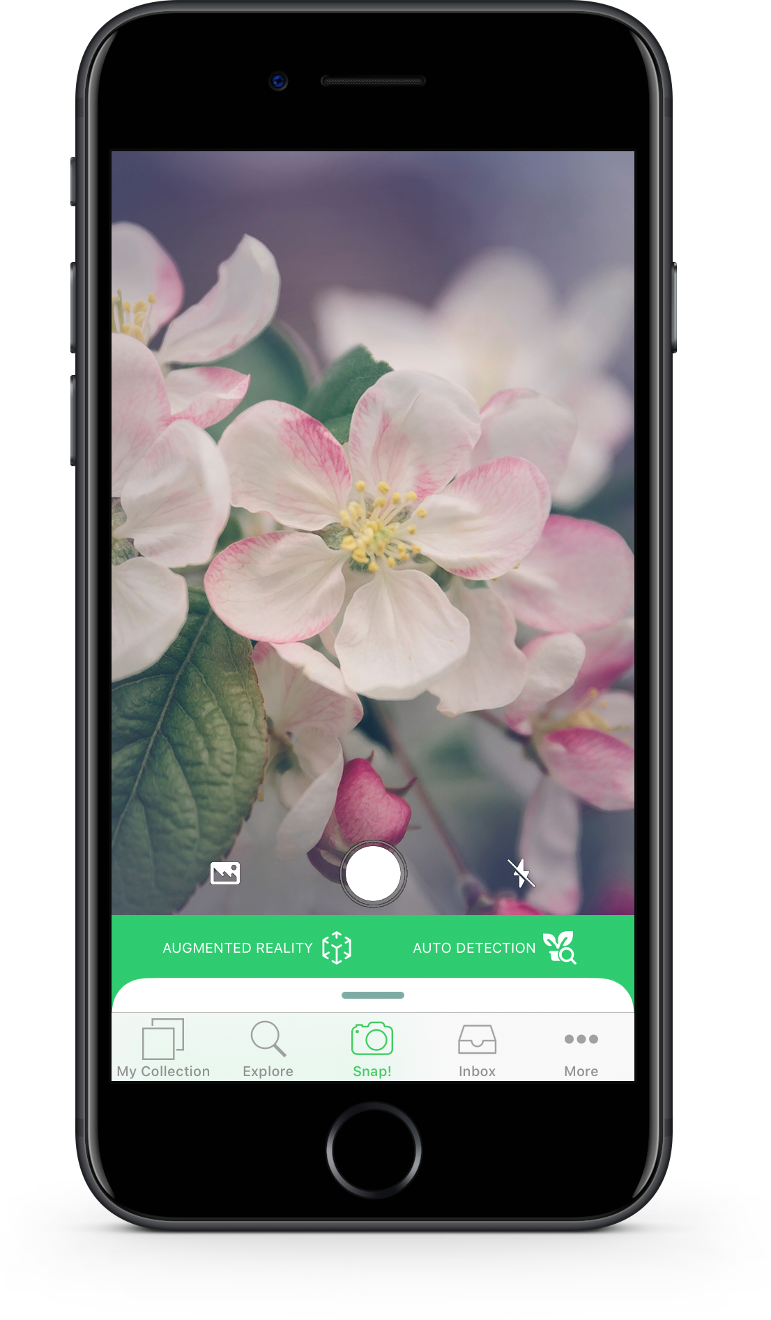PlantSnap - Plant Identifier App, #1 Mobile App for Plant ... - 