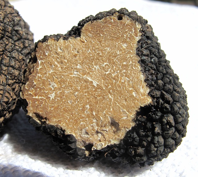 truffle climate change