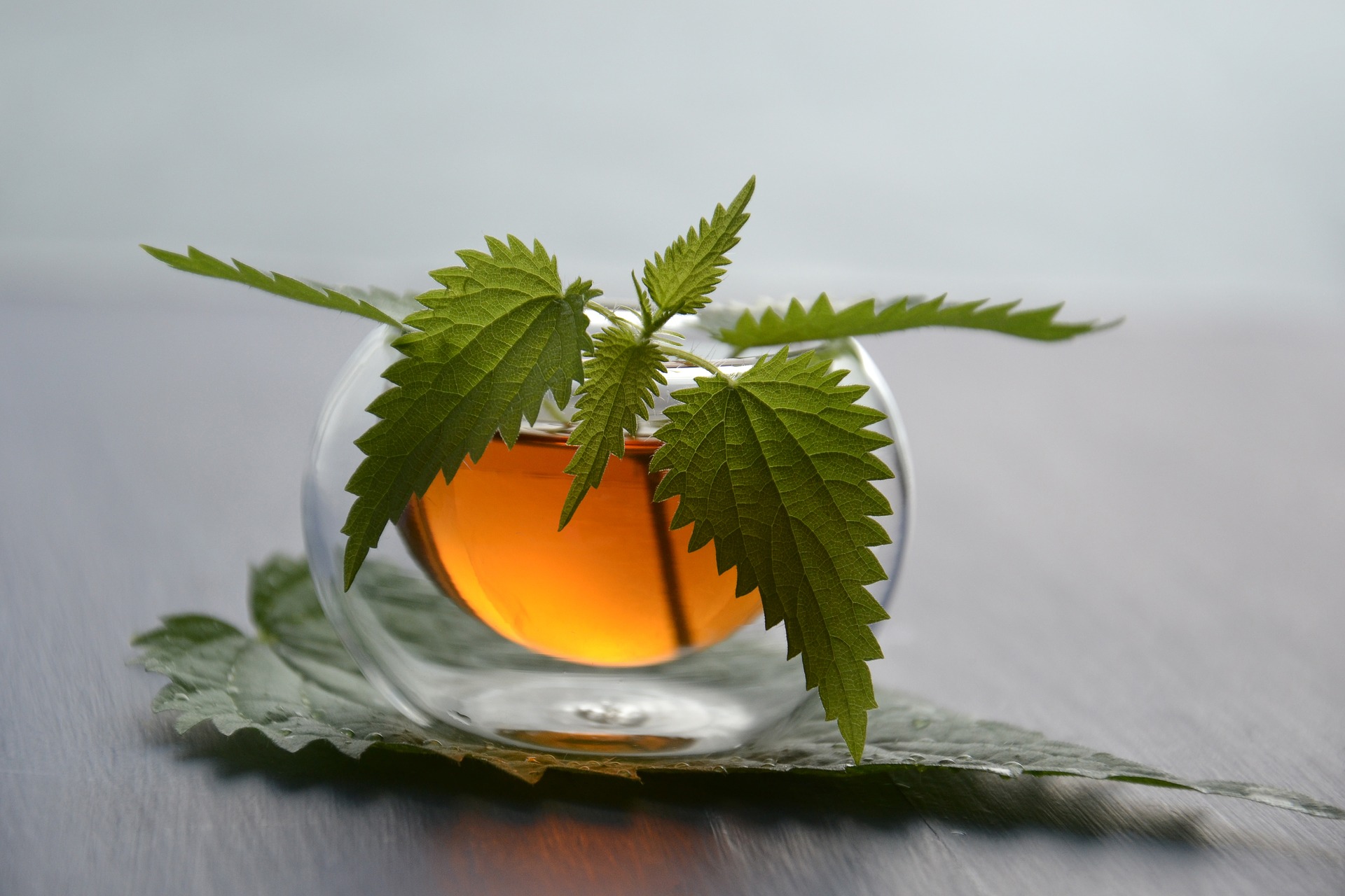 Nettle Tea Benefits (and How to Brew It)