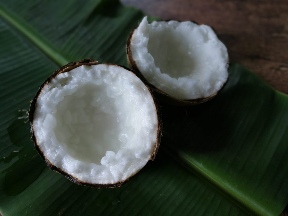 Macapuno Coconut