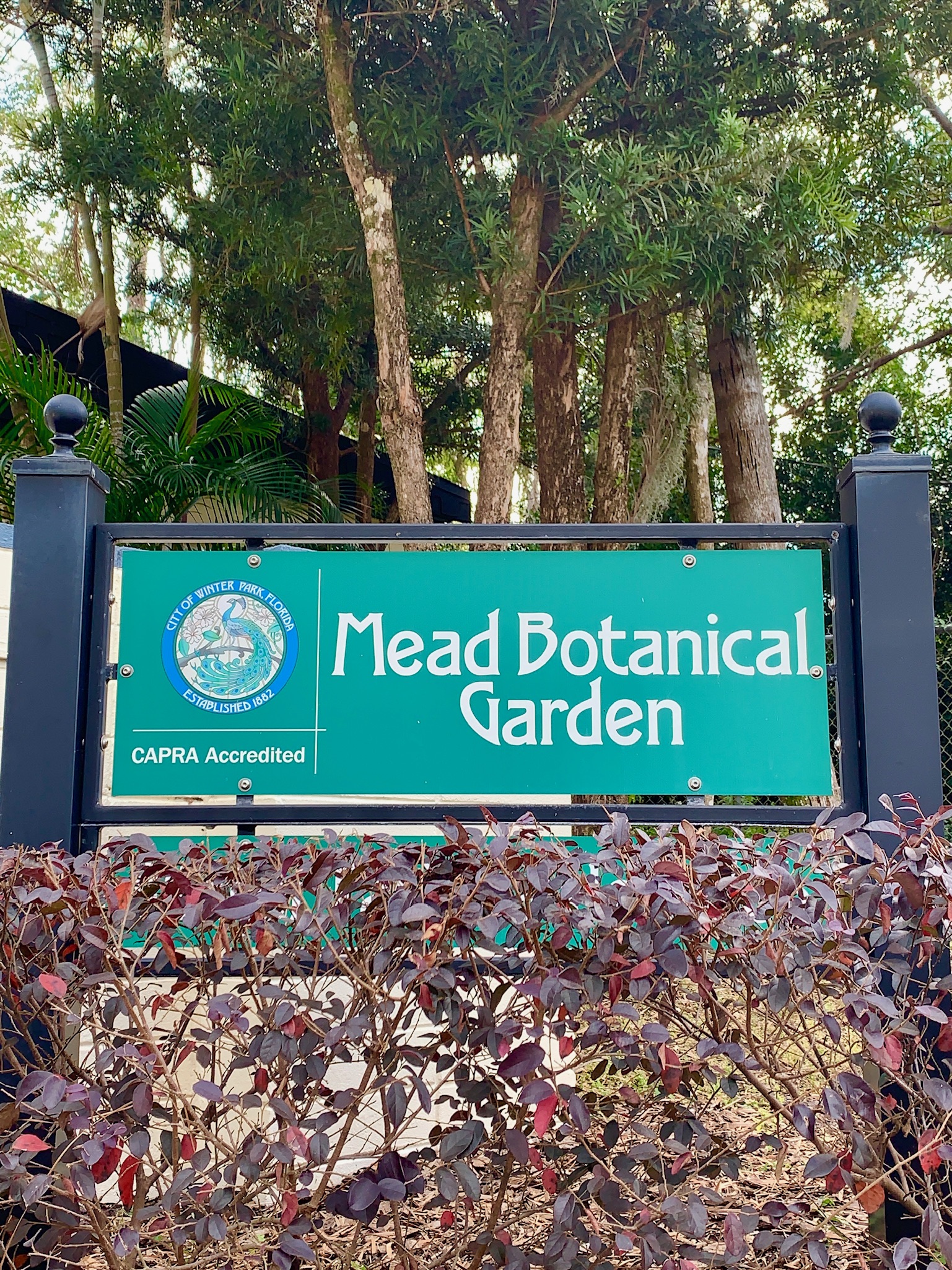 Mead Botanical Garden - Winter Park, Florida